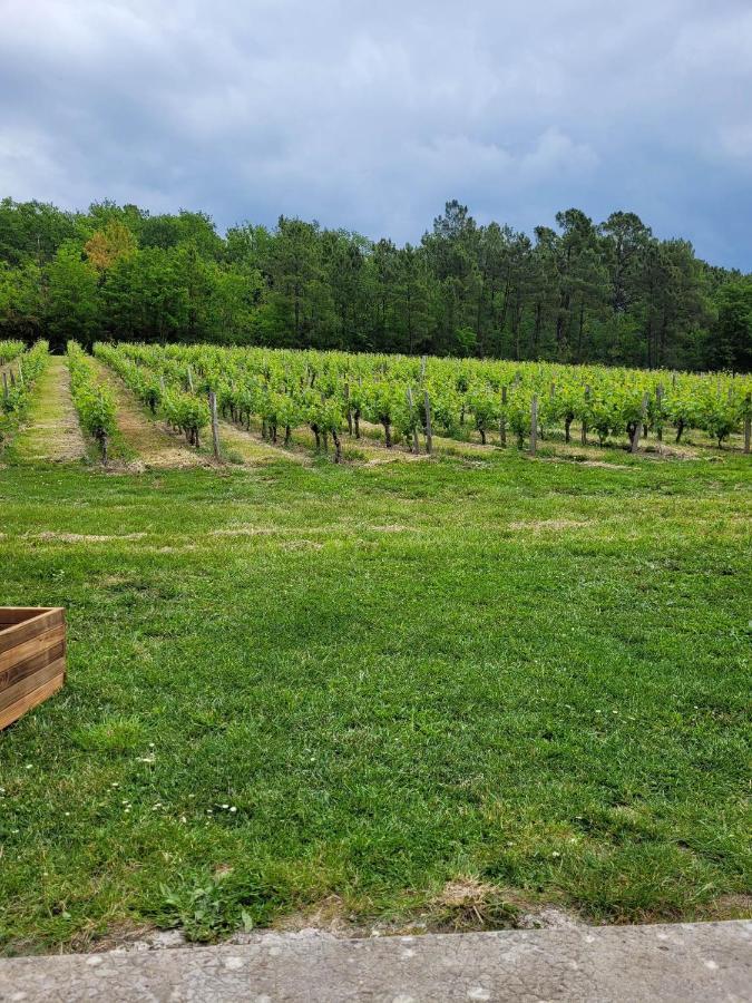 A L'Ombre De La Treille -Proche Saint-Emilion Bed and Breakfast Εξωτερικό φωτογραφία