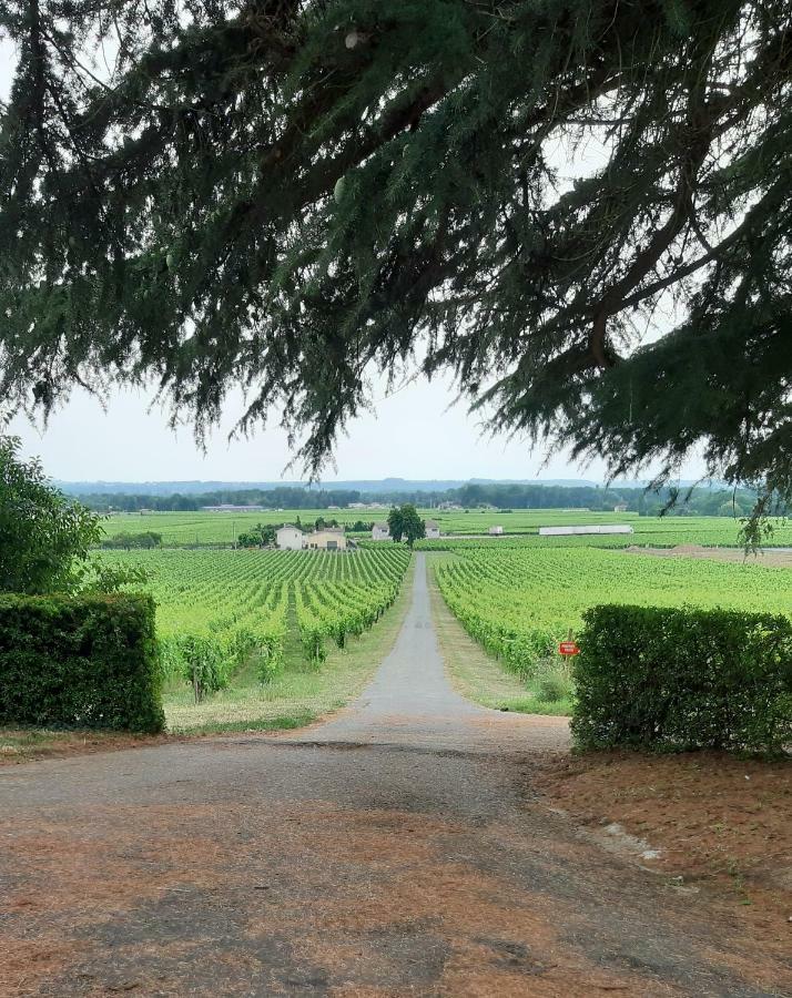 A L'Ombre De La Treille -Proche Saint-Emilion Bed and Breakfast Εξωτερικό φωτογραφία